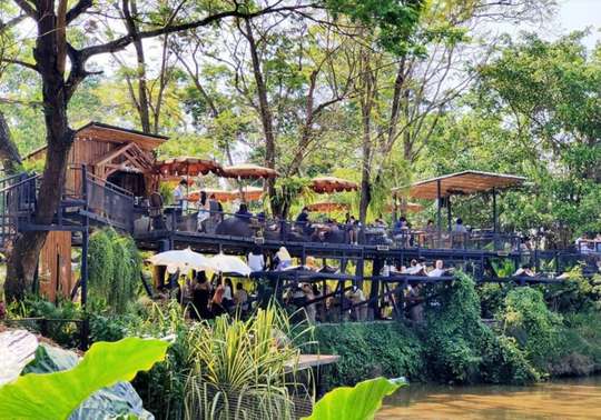 Tiket Tur Pattaya Elephant Cafe & Pasar Ikan dari Bangkok