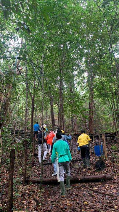 Full Day Trekking Mount Lumut, RM 124