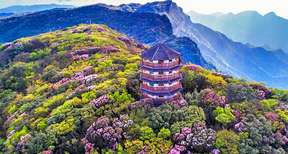 Gold Buddha Mountain (West Gate) Entry Ticket + Round-trip Shuttle + Round-trip Ropeway Concession (children/students)