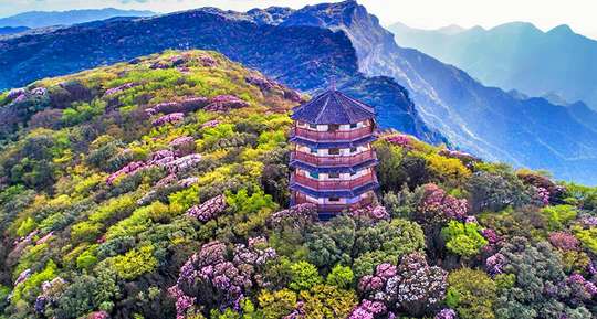 Gold Buddha Mountain Tickets