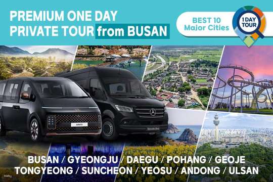 Busan/Tongyeong/Gyeongju/Daegu/Pohang/Ulsan/Yeosu/Geoje/Andong/Suncheon Private Day Tour from Busan