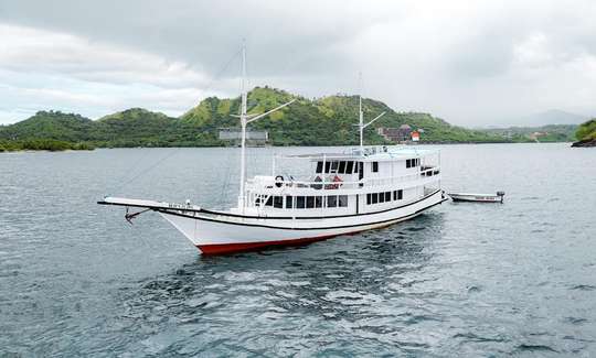 4D3N Sailing Komodo By Regular Phinisi