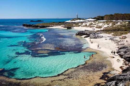 Rottnest Island Ferry from Perth with Bicycle Hire Option | Western Australia