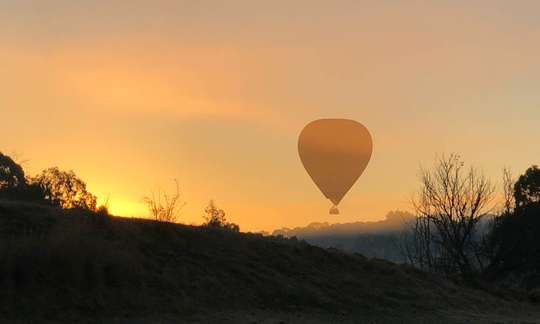 Geelong Hot Air Balloon Flight