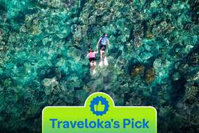 Karimunjawa Sea Tour - 1 Day