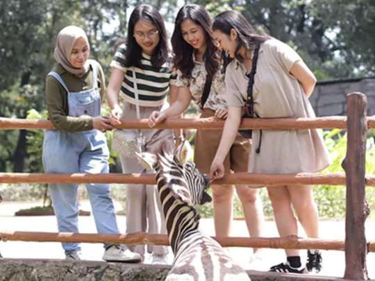 1 Day Solo Tour Package - Start Jogja (Rasamadu Heritage, Syech Zayed Mosque, Solo Safari) by enjoyyourholiday, 899.577 VND