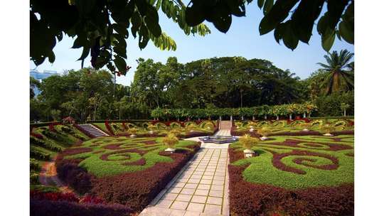 Private Half-Day National Botanic Garden Cycling Tour from Kuala Lumpur
