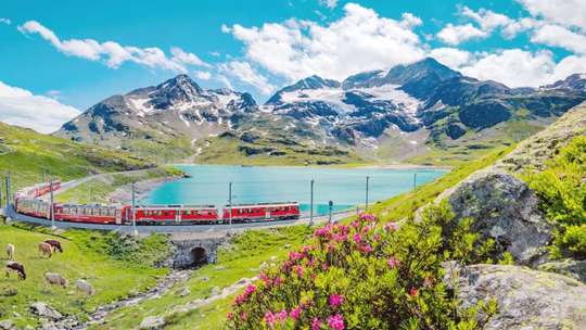 Swiss Half Fare Card e-Ticket