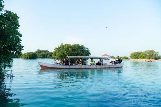One Day Trip to Pari Island, Thousand Islands