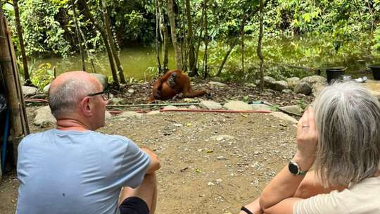 3 DAYS 2 NIGHTS TREKKING (CAMPING) IN BUKIT LAWANG - GUNUNG LEUSER, THB 9,258.00