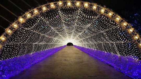 Private Day Tour from Seoul: Lotte Premium Outlet, Starlight Garden & Ijin Sanghoe Cafe | South Korea