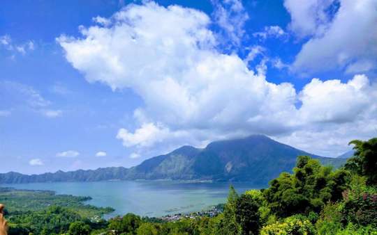 Bali Tour: Kintamani, Monkey Forest, Tegalalang and Swing