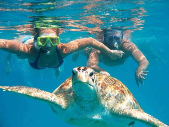 Snorkeling di Port City