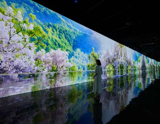 HEI Museum Admission Ticket: Immersive Media Art Exhibition