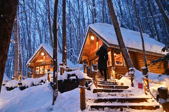 Hokkaido: Asahiyama Zoo, Biei Blue and Ningle Terrace 1-Day Tour (Hokkaido Line A)