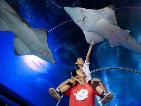 Underwater World Pattaya Tickets, THB 250.00