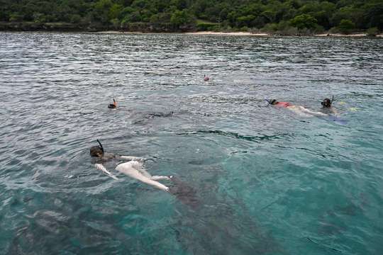 Fun Diving and Snorkeling by Bali Exotic Travel