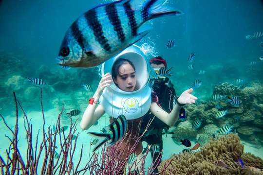 Đi bộ dưới biển Seawalker, khám phá 4 đảo và cáp treo Hòn Thơm - Tour 1 ngày của Namaste