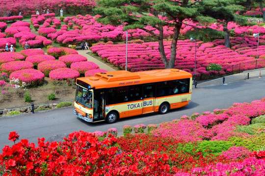Tokai Bus Free Ticket Ito & Izukogen 2-Day Pass in Shizuoka | Japan