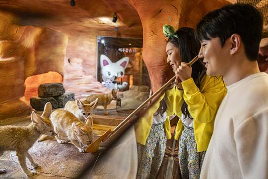 [Seoul Yeongdeungpo] Seoul Zoolung Zoolung Indoor Animal Theme Park, RM 88