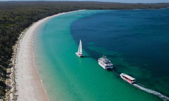 Jervis Bay Dolphin Watching Day Tour from Sydney, RM 635