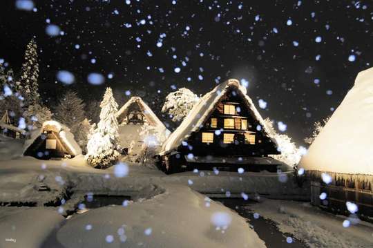 【Limited to 4 Days・Guaranteed Departure】Shirakawa-go Gassho Village Night Illumination Day Tour | English-Speaking Guide | Depart from JR Takayama Station