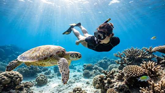 AMED Snorkeling Bali - Discover Iconic Underwater Snorkeling Spots, 4,393円