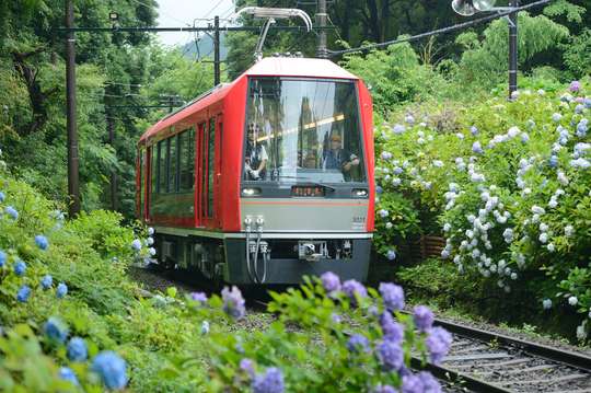Fuji Hakone Pass