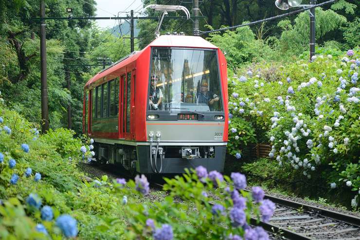 Fuji Hakone Pass