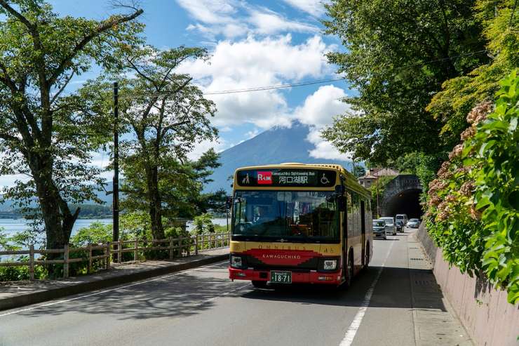 Fuji Hakone Pass 2
