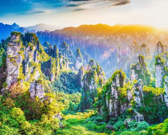 Zhangjiajie： National Forest Park ticket