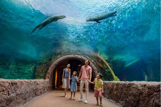 River Wonders Tickets | Mandai Wildlife Reserve, Singapore