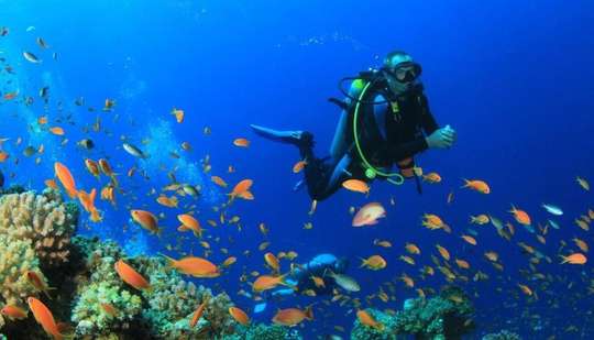 Snorkeling Tour Blue Lagoon Beach, Rp 425.000