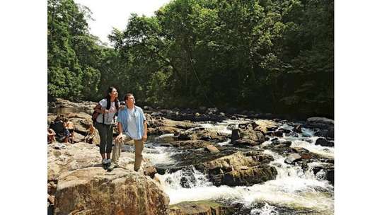 Private Tour: Amazing Taman Negara Day Trip from Kuala Lumpur Including Lunch - 10 Hours