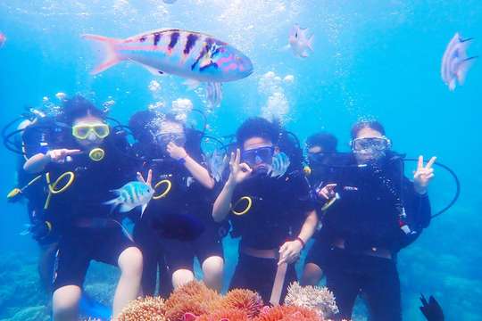 Snorkeling in Nha Trang - Day Tour, ₱ 1,689.80