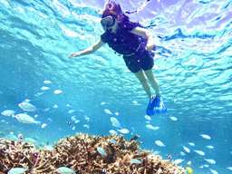 Tropical Snorkeling in Emerald Blue Waters - Free Photo Data Included (Miyakojima, Okinawa)