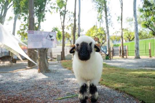 Tickets for Chiayi Meie Shangshu Cute Pet Paradise