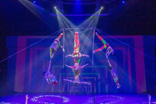 Jeju Circus World: Art Circus - Admission Ticket | South Korea