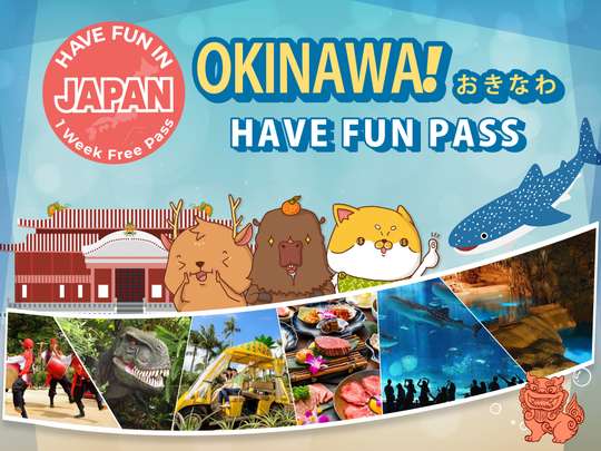 Have Fun in Okinawa Pass