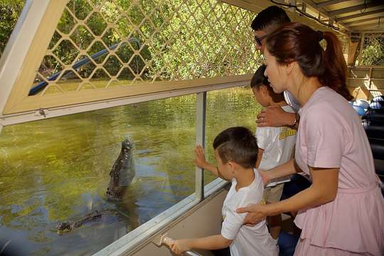 Hartley's Crocodile Adventures