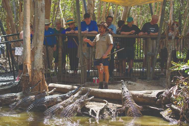 Hartley's Crocodile Adventures 1