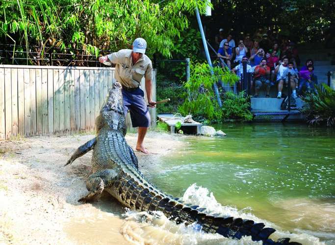 Hartley's Crocodile Adventures 1