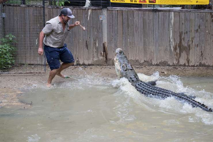 Hartley's Crocodile Adventures 3