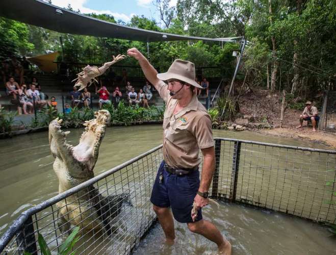 Hartley's Crocodile Adventures 2