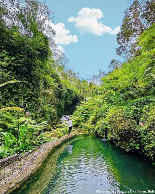 Sanggraloka Farm Retreat: Explore, Create & Rejuvenate in Bali | Indonesia