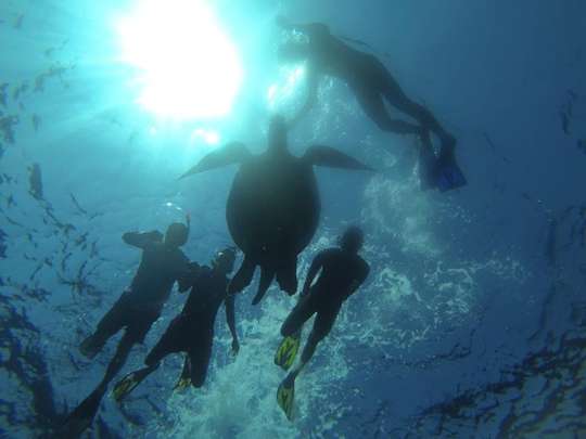 Tour & Snorkeling in 3 Gilis (Trawangan, Meno, Air) with Private Glass Bottom Boat, THB 1,033.50