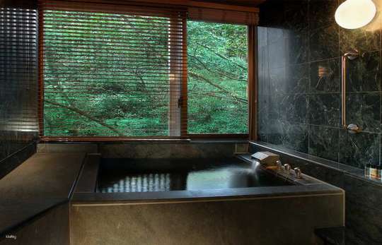 Beitou Hot Springs | Risheng Shengjia International Hot Spring Hotel | Public Bath/Private Bath, USD 51.94