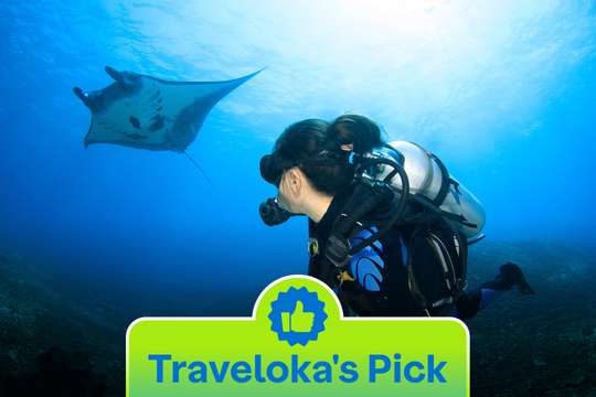 Snorkeling Tour with Mantas and Nusa Lembongan Island, S$32