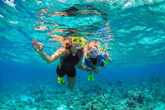 Tour lặn biển trong ngày tại Đảo Dreamer với Bữa trưa, Các hoạt động dưới nước tùy chọn & Đưa đón khách sạn | Sabah, Malaysia