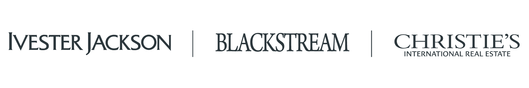 Agent company logo